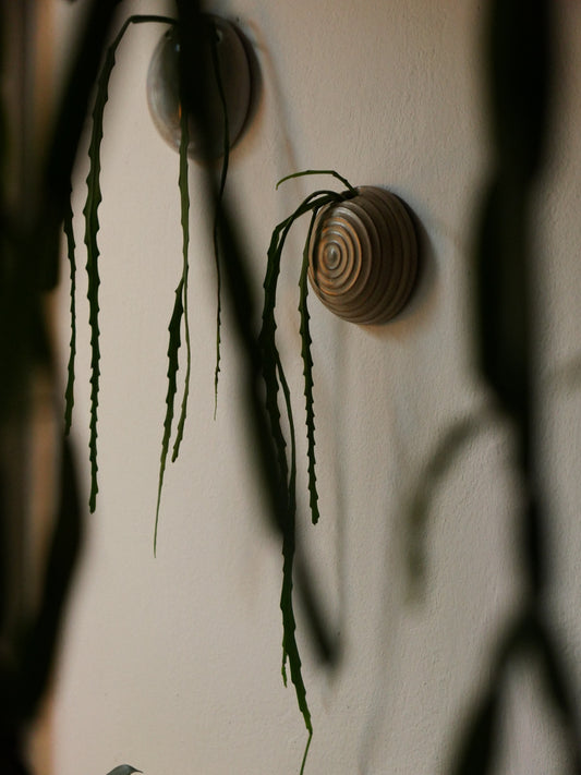 Wall vase