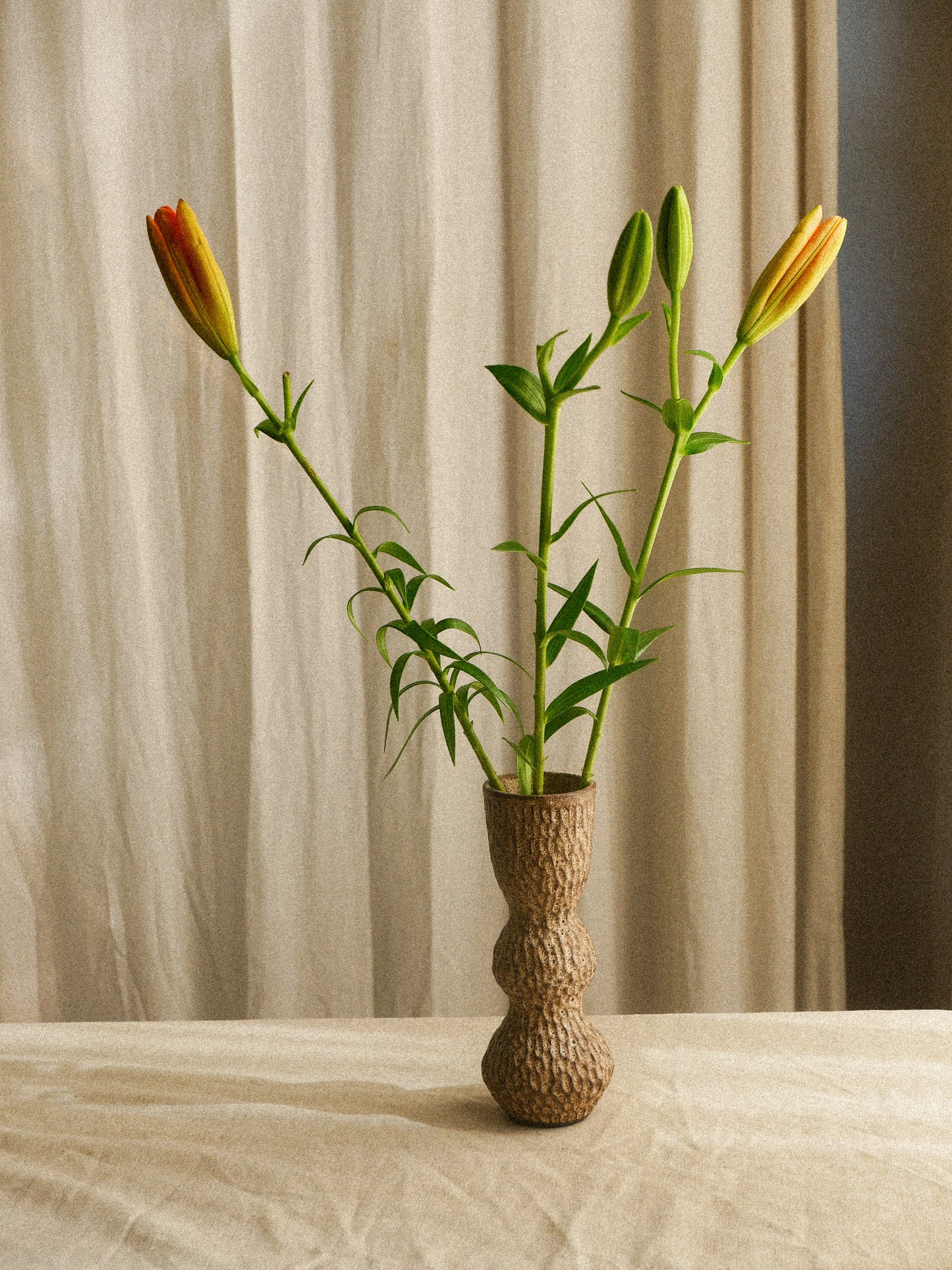 EARTHY ESSENCE — Vases